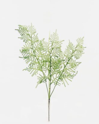 Artificial Plant 23*23*61cm Asparagus fer single stem GS-12723002 Leaves&Sprays&Foliages YeahFlower is one of Chinese leading OEM manufacturers and exporters , supplying the silk flowers, wholesale artificial trees Artificial Plant 23*23*61cm Asparagus fer single stem GS-12723002 Leaves&Sprays&Foliages YeahFlower is one of Chinese leading OEM manufacturers and exporters , supplying the silk flowers, wholesale artificial trees