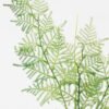 Artificial Plant Asparagus fer single stem GS-12723002_1 Artificial Plant 23*23*61cm Asparagus fer single stem GS-12723002 Leaves&Sprays&Foliages YeahFlower is one of Chinese leading OEM manufacturers and exporters , supplying the silk flowers, wholesale artificial trees