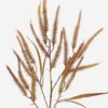 Artificial Plant Cordyceps sinensis single stem GS-36623019_2 Artificial Plant 29*29*72cm Cordyceps sinensis single stem GS-36623019 Leaves&Sprays&Foliages YeahFlower is one of Chinese leading OEM manufacturers and exporters , supplying the silk flowers, wholesale artificial trees