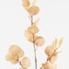 Artificial Plant 32*32*106cm Eucalyptus single stem GS-68923011 Leaves&Sprays&Foliages YeahFlower is one of Chinese leading OEM manufacturers and exporters , supplying the silk flowers, wholesale artificial trees