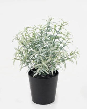 Artificial Plant 10*10*16cm Grass IN PE POT GS-05521106RBC Potted Flowers&Plants YeahFlower is one of Chinese leading OEM manufacturers and exporters , supplying the silk flowers, wholesale artificial trees