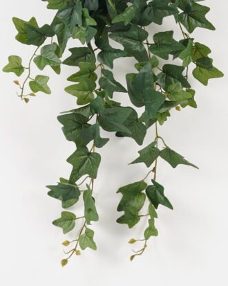 Artificial Plant 37*37*82cm Leaf *11 hanging GS-29823003-G1 Leaves&Sprays&Foliages YeahFlower is one of Chinese leading OEM manufacturers and exporters , supplying the silk flowers, wholesale artificial trees Artificial Plant 37*37*82cm Leaf *11 hanging GS-29823003-G1 Leaves&Sprays&Foliages YeahFlower is one of Chinese leading OEM manufacturers and exporters , supplying the silk flowers, wholesale artificial trees