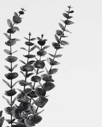 Artificial Plant 18*18*58cm Leaf *5 bundle GS-51623011-H1 Leaves&Sprays&Foliages YeahFlower is one of Chinese leading OEM manufacturers and exporters , supplying the silk flowers, wholesale artificial trees Artificial Plant 18*18*58cm Leaf *5 bundle GS-51623011-H1 Leaves&Sprays&Foliages YeahFlower is one of Chinese leading OEM manufacturers and exporters , supplying the silk flowers, wholesale artificial trees