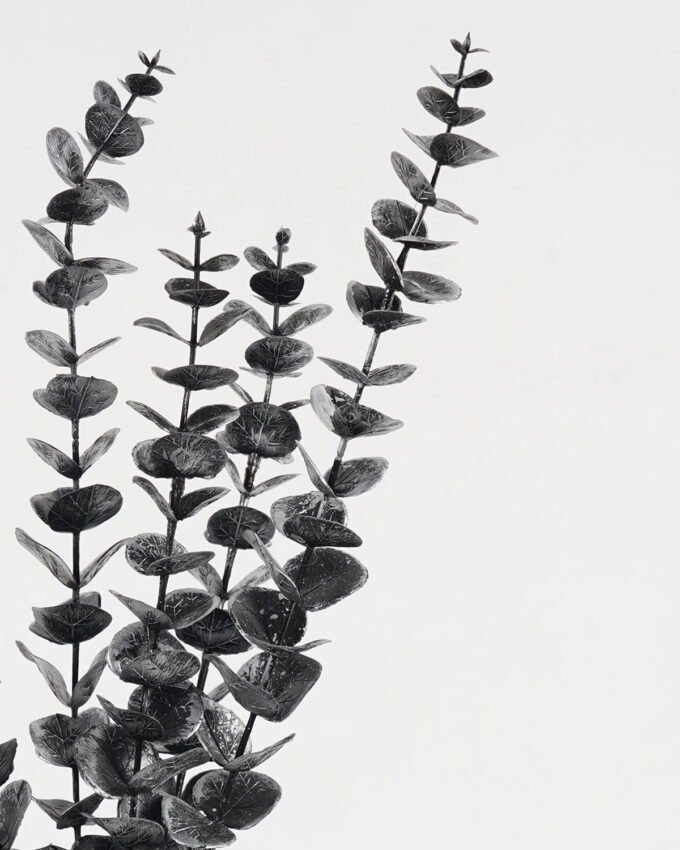 Artificial Plant 18*18*58cm Leaf *5 bundle GS-51623011-H1 Leaves&Sprays&Foliages YeahFlower is one of Chinese leading OEM manufacturers and exporters , supplying the silk flowers, wholesale artificial trees