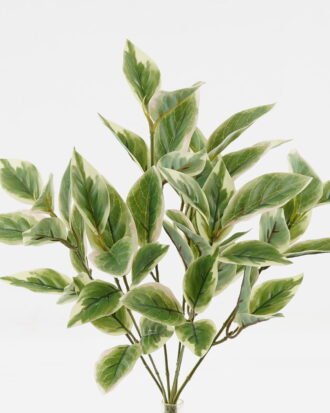 Artificial Plant 27*27*40cm Leaf *7 bush/56 lvs GS-29823030 Leaves&Sprays&Foliages YeahFlower is one of Chinese leading OEM manufacturers and exporters , supplying the silk flowers, wholesale artificial trees Artificial Plant 27*27*40cm Leaf *7 bush/56 lvs GS-29823030 Leaves&Sprays&Foliages YeahFlower is one of Chinese leading OEM manufacturers and exporters , supplying the silk flowers, wholesale artificial trees