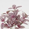 Artificial Plant 23*23*39cm Leaf *7 bush/63 lvs GS-29823033 Leaves&Sprays&Foliages YeahFlower is one of Chinese leading OEM manufacturers and exporters , supplying the silk flowers, wholesale artificial trees
