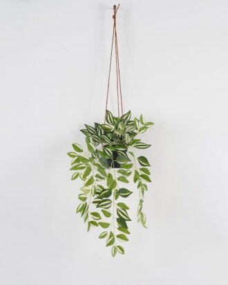 Artificial Plant 20*20*40cm Leaf in PP pot GS-05523038 Banners&Garlands YeahFlower is one of Chinese leading OEM manufacturers and exporters , supplying the silk flowers, wholesale artificial trees