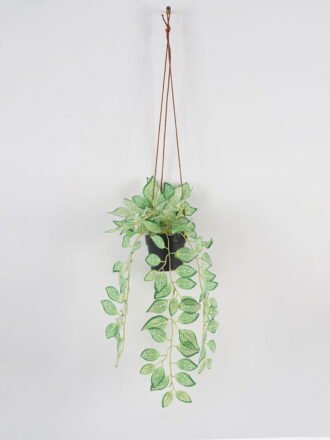 Artificial Plant 23*23*40cm Leaf in PP pot GS-05523039 Banners&Garlands 3,000+ sqm showroom with thousands of artificial flowers, plants & trees ready for global sourcing.