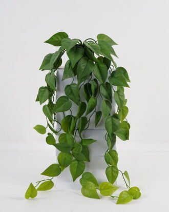 Artificial Plant 23*23*65cm Leaf in PP pot GS-05523042 Banners&Garlands YeahFlower is one of Chinese leading OEM manufacturers and exporters , supplying the silk flowers, wholesale artificial trees