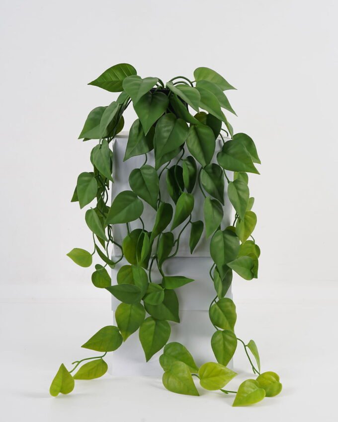 Artificial Plant 23*23*65cm Leaf in PP pot GS-05523042 Banners&Garlands YeahFlower is one of Chinese leading OEM manufacturers and exporters , supplying the silk flowers, wholesale artificial trees