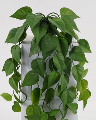 Artificial Plant 23*23*65cm Leaf in PP pot GS-05523042 Banners&Garlands YeahFlower is one of Chinese leading OEM manufacturers and exporters , supplying the silk flowers, wholesale artificial trees