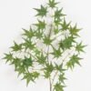 Artificial Plant 37*75cm Maple leaf *3 single stem GS-71223003 Leaves&Sprays&Foliages YeahFlower is one of Chinese leading OEM manufacturers and exporters , supplying the silk flowers, wholesale artificial trees