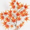 Artificial Plant Maple leaf 3 single stem GS-71223005-O3_1 Artificial Plant 33*73cm Maple leaf *3 single stem GS-71223005-O3 Leaves&Sprays&Foliages YeahFlower is one of Chinese leading OEM manufacturers and exporters , supplying the silk flowers, wholesale artificial trees