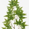Artificial Plant 24*24*70cm Maple leaf single stem GS-71523014-G1 Leaves&Sprays&Foliages YeahFlower is one of Chinese leading OEM manufacturers and exporters , supplying the silk flowers, wholesale artificial trees