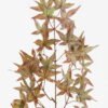 Artificial Plant 24*24*70cm Maple leaf single stem GS-71523014 Leaves&Sprays&Foliages YeahFlower is one of Chinese leading OEM manufacturers and exporters , supplying the silk flowers, wholesale artificial trees