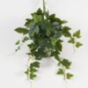 Artificial Plant 28*56cm Morning glory leaves  *8 hanging/78 lvs GS-29823035 Leaves&Sprays&Foliages YeahFlower is one of Chinese leading OEM manufacturers and exporters , supplying the silk flowers, wholesale artificial trees