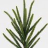 Artificial Plant 14*14*58cm Oregon pine single stem GS-51623014 Leaves&Sprays&Foliages YeahFlower is one of Chinese leading OEM manufacturers and exporters , supplying the silk flowers, wholesale artificial trees