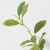 Artificial Plant Periwinkle leaf single stem GS-51623021_1 Artificial Plant 25*25*100cm Periwinkle leaf single stem GS-51623021 Leaves&Sprays&Foliages YeahFlower is one of Chinese leading OEM manufacturers and exporters , supplying the silk flowers, wholesale artificial trees