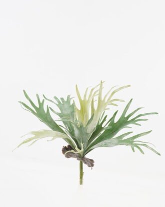 Artificial Plant 40*40*50cm Platycerium wallichii bush GS-71523007 Leaves&Sprays&Foliages YeahFlower is one of Chinese leading OEM manufacturers and exporters , supplying the silk flowers, wholesale artificial trees Artificial Plant 40*40*50cm Platycerium wallichii bush GS-71523007 Leaves&Sprays&Foliages YeahFlower is one of Chinese leading OEM manufacturers and exporters , supplying the silk flowers, wholesale artificial trees