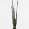 Artificial Plant 22*18*129CM Sansevieria/lvs18 GS-54619002 Potted Flowers&Plants YeahFlower is one of Chinese leading OEM manufacturers and exporters , supplying the silk flowers, wholesale artificial trees