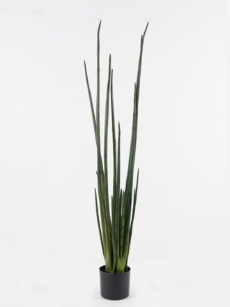 Artificial Grass 20*20cm Dried natural items bouquet in paper box GS-56623003 Dried Flowers 3,000+ sqm showroom with thousands of artificial flowers, plants & trees ready for global sourcing.