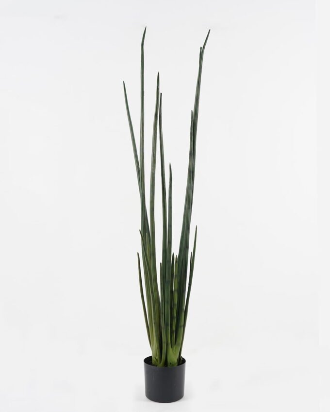 Artificial Plant 22*18*129CM Sansevieria/lvs18 GS-54619002 Potted Flowers&Plants YeahFlower is one of Chinese leading OEM manufacturers and exporters , supplying the silk flowers, wholesale artificial trees