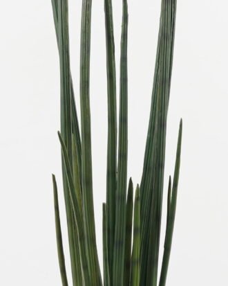 Artificial Plant 22*18*129CM Sansevieria/lvs18 GS-54619002 Potted Flowers&Plants YeahFlower is one of Chinese leading OEM manufacturers and exporters , supplying the silk flowers, wholesale artificial trees
