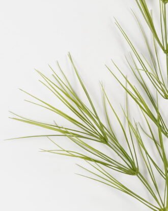 Artificial Plant 25*25*130cm Water Plant *2 single stem GS-65223002 Leaves&Sprays&Foliages YeahFlower is one of Chinese leading OEM manufacturers and exporters , supplying the silk flowers, wholesale artificial trees Artificial Plant 25*25*130cm Water Plant *2 single stem GS-65223002 Leaves&Sprays&Foliages YeahFlower is one of Chinese leading OEM manufacturers and exporters , supplying the silk flowers, wholesale artificial trees