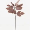 Artificial Plant fig leaf 2 single stem 10 lvs GS-71223009_4 Artificial Plant 40*20*81cm fig leaf *2 single stem/10 lvs GS-71223009 Leaves&Sprays&Foliages YeahFlower is one of Chinese leading OEM manufacturers and exporters , supplying the silk flowers, wholesale artificial trees