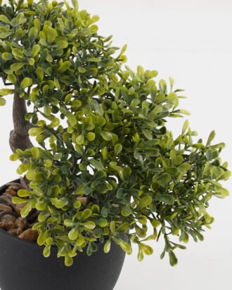 Artificial Plant 22*17*24cm potted leaf in PP pot GS-51723032 Potted Flowers&Plants YeahFlower is one of Chinese leading OEM manufacturers and exporters , supplying the silk flowers, wholesale artificial trees