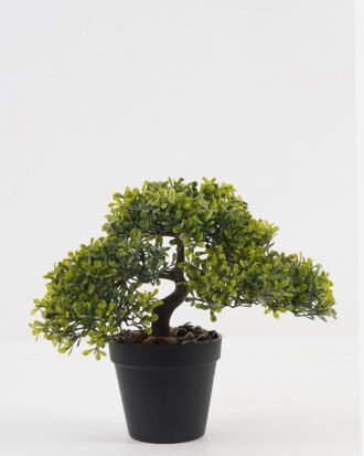 Artificial Plant 29*19*26cm potted leaf in PP pot GS-51723033 Potted Flowers&Plants YeahFlower is one of Chinese leading OEM manufacturers and exporters , supplying the silk flowers, wholesale artificial trees