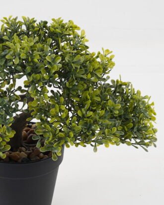 Artificial Plant 29*19*26cm potted leaf in PP pot GS-51723033 Potted Flowers&Plants YeahFlower is one of Chinese leading OEM manufacturers and exporters , supplying the silk flowers, wholesale artificial trees