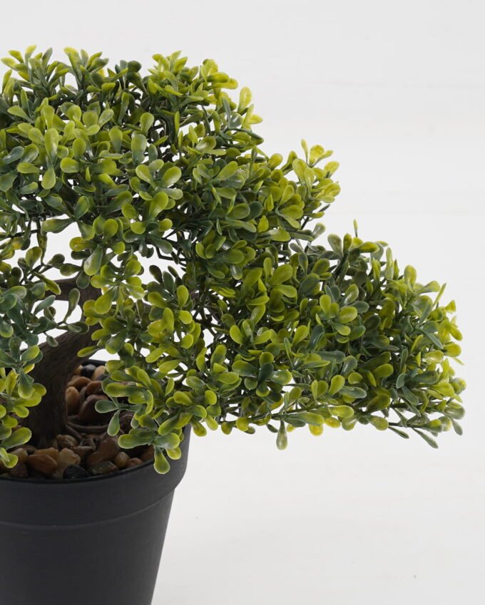 Artificial Plant potted leaf in PP pot GS-51723033_7 Artificial Plant 29*19*26cm potted leaf in PP pot GS-51723033 Potted Flowers&Plants YeahFlower is one of Chinese leading OEM manufacturers and exporters , supplying the silk flowers, wholesale artificial trees