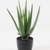 Artificial Tree 15*15*33cm Aloe in PP pot/10 lvs GS-59523129 Tree&Plant YeahFlower is one of Chinese leading OEM manufacturers and exporters , supplying the silk flowers, wholesale artificial trees