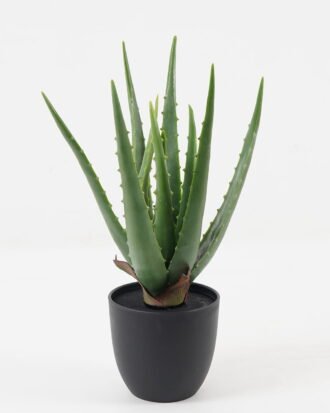 Artificial Tree 15*15*33cm Aloe in PP pot/10 lvs GS-59523129 Tree&Plant YeahFlower is one of Chinese leading OEM manufacturers and exporters , supplying the silk flowers, wholesale artificial trees
