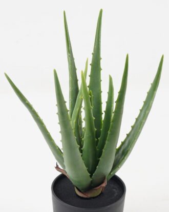 Artificial Tree 15*15*33cm Aloe in PP pot/10 lvs GS-59523129 Tree&Plant YeahFlower is one of Chinese leading OEM manufacturers and exporters , supplying the silk flowers, wholesale artificial trees