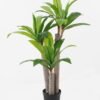 Artificial Tree 55*50*90cm Dracaena *3 in PP pot/35 lvs GS-30423085 Tree&Plant YeahFlower is one of Chinese leading OEM manufacturers and exporters , supplying the silk flowers, wholesale artificial trees