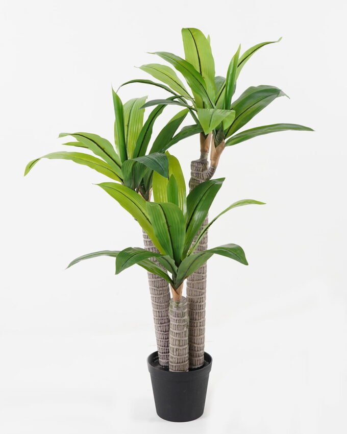Artificial Tree 55*50*90cm Dracaena *3 in PP pot/35 lvs GS-30423085 Tree&Plant YeahFlower is one of Chinese leading OEM manufacturers and exporters , supplying the silk flowers, wholesale artificial trees