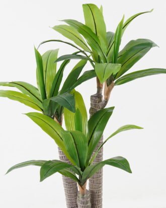 Artificial Tree 55*50*90cm Dracaena *3 in PP pot/35 lvs GS-30423085 Tree&Plant YeahFlower is one of Chinese leading OEM manufacturers and exporters , supplying the silk flowers, wholesale artificial trees