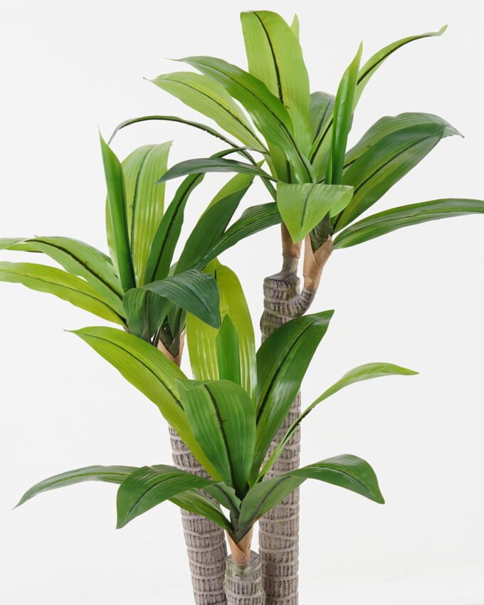 Artificial Tree 55*50*90cm Dracaena *3 in PP pot/35 lvs GS-30423085 Tree&Plant YeahFlower is one of Chinese leading OEM manufacturers and exporters , supplying the silk flowers, wholesale artificial trees