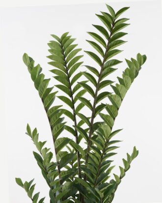 Artificial Tree 56*56*130cm Eucalyptus *16 in PP pot/286 lvs GS-59523112 Tree&Plant YeahFlower is one of Chinese leading OEM manufacturers and exporters , supplying the silk flowers, wholesale artificial trees