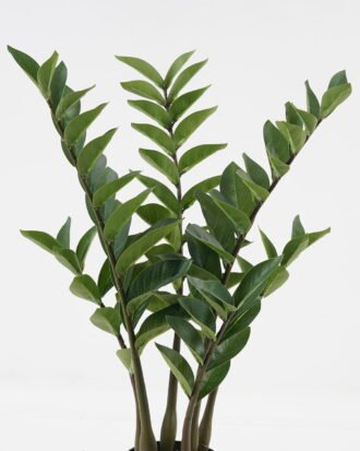 Artificial Tree 35*35*62cm Eucalyptus *6 in PP pot/78 lvs GS-59523116 Tree&Plant YeahFlower is one of Chinese leading OEM manufacturers and exporters , supplying the silk flowers, wholesale artificial trees