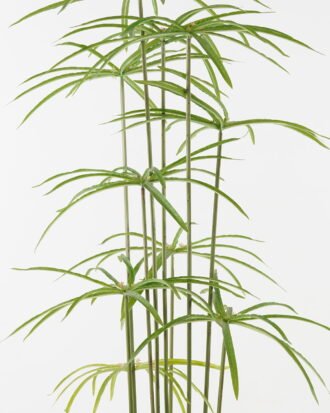 Artificial Tree 53*53*120cm Graptopetalum *12 in PP pot/24 lvs GS-48523005 Tree&Plant YeahFlower is one of Chinese leading OEM manufacturers and exporters , supplying the silk flowers, wholesale artificial trees