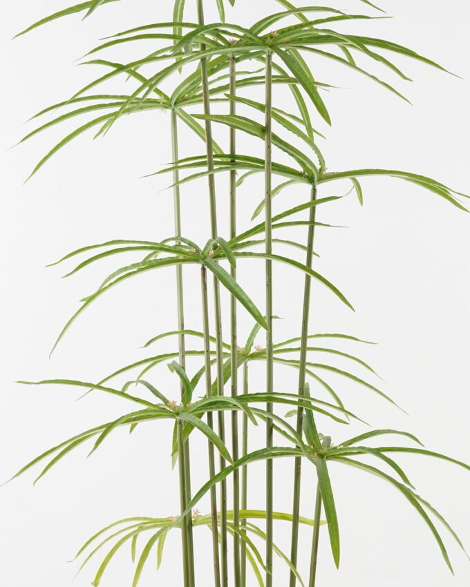 Artificial Tree 53*53*120cm Graptopetalum *12 in PP pot/24 lvs GS-48523005 Tree&Plant YeahFlower is one of Chinese leading OEM manufacturers and exporters , supplying the silk flowers, wholesale artificial trees