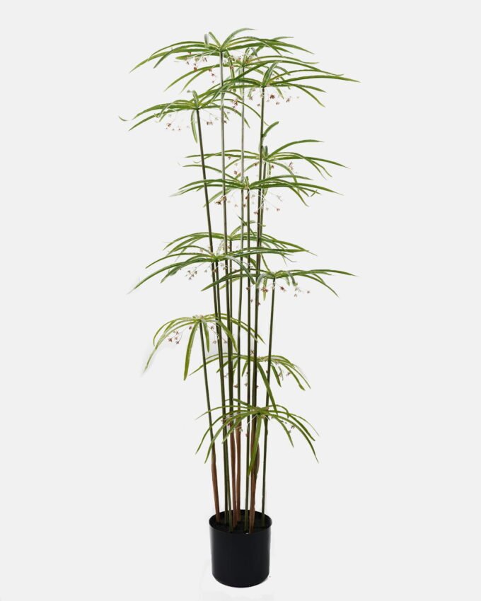 Artificial Tree 53*53*120cm Graptopetalum *12 in PP pot/24 lvs GS-48523008 Tree&Plant YeahFlower is one of Chinese leading OEM manufacturers and exporters , supplying the silk flowers, wholesale artificial trees