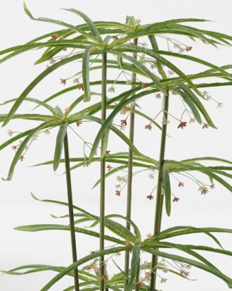 Artificial Tree 53*53*120cm Graptopetalum *12 in PP pot/24 lvs GS-48523008 Tree&Plant YeahFlower is one of Chinese leading OEM manufacturers and exporters , supplying the silk flowers, wholesale artificial trees