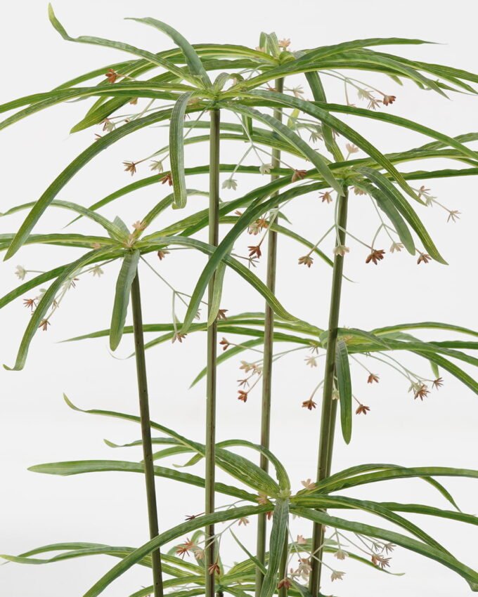 Artificial Tree 53*53*120cm Graptopetalum *12 in PP pot/24 lvs GS-48523008 Tree&Plant YeahFlower is one of Chinese leading OEM manufacturers and exporters , supplying the silk flowers, wholesale artificial trees