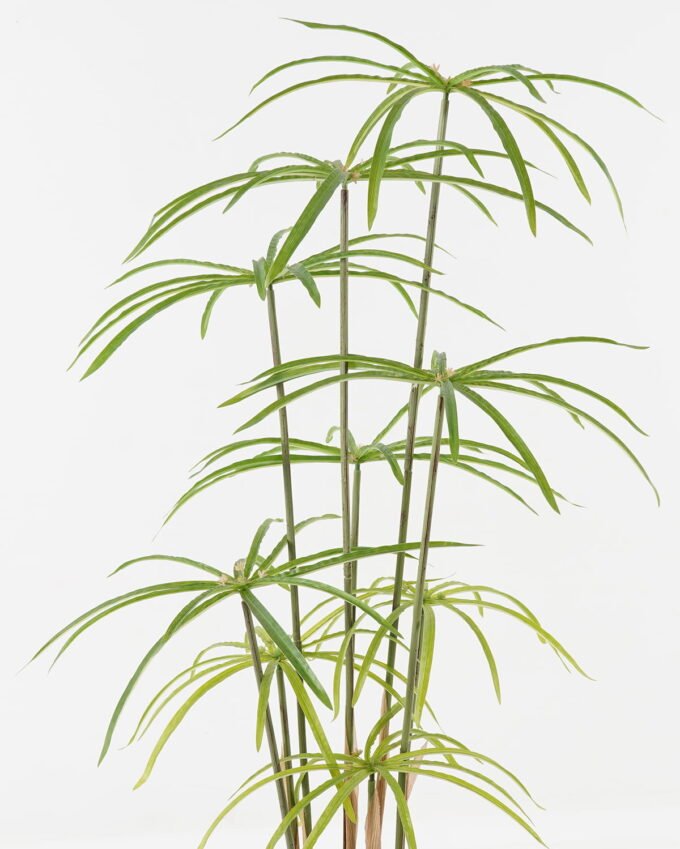 Artificial Tree 50*50*90cm Graptopetalum *9 in PP pot/18 lvs GS-48523004 Tree&Plant YeahFlower is one of Chinese leading OEM manufacturers and exporters , supplying the silk flowers, wholesale artificial trees