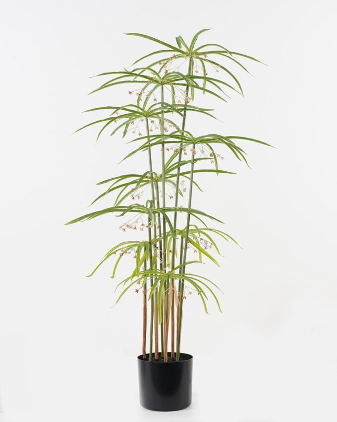 Artificial Tree 46*46*90cm Graptopetalum *9 in PP pot/18 lvs GS-48523007 Tree&Plant YeahFlower is one of Chinese leading OEM manufacturers and exporters , supplying the silk flowers, wholesale artificial trees