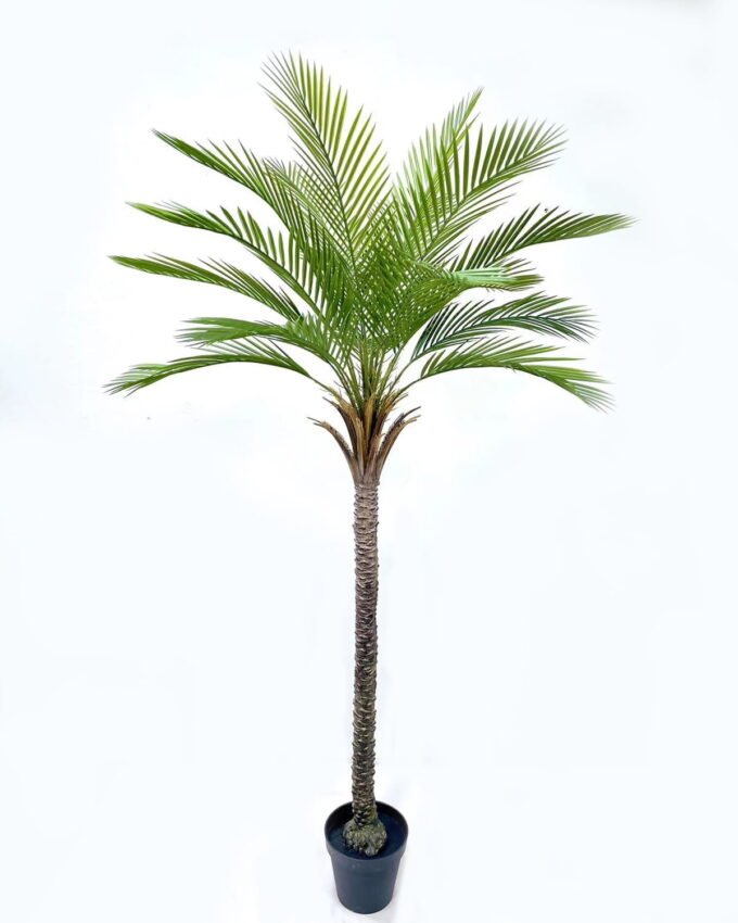 Artificial Tree 120*120*210cm Kwai tree in PP pot/18 lvs GS-59523122KD Tree&Plant YeahFlower is one of Chinese leading OEM manufacturers and exporters , supplying the silk flowers, wholesale artificial trees
